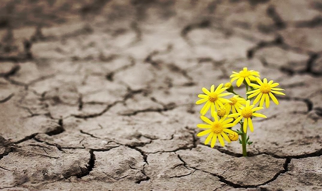 GAIN UNSHAKABLE CONFIDENCE!